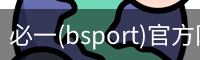 必一(bsport)官方网站 - 官方正版入口